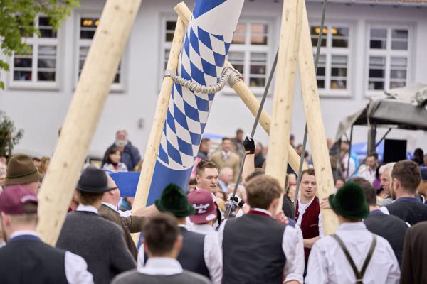 Preview campos_viola_gug_191-191