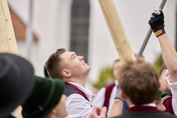 Preview campos_viola_gug_195-195