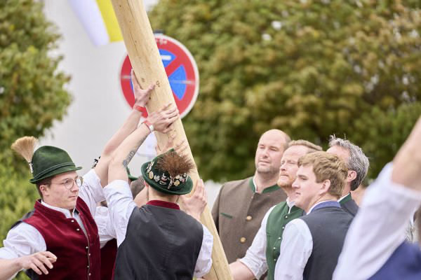 Preview campos_viola_gug_196-196