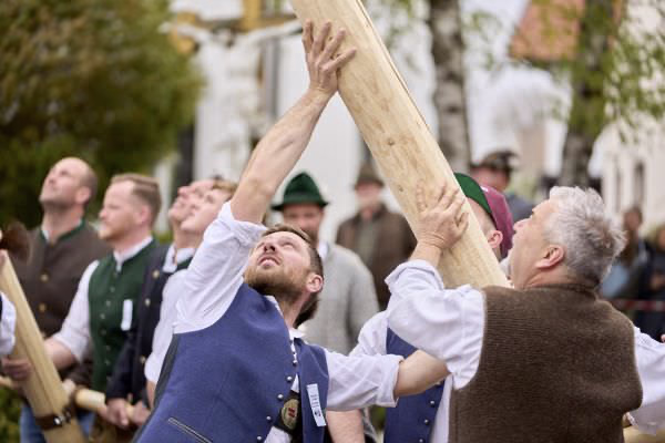 Preview campos_viola_gug_198-198