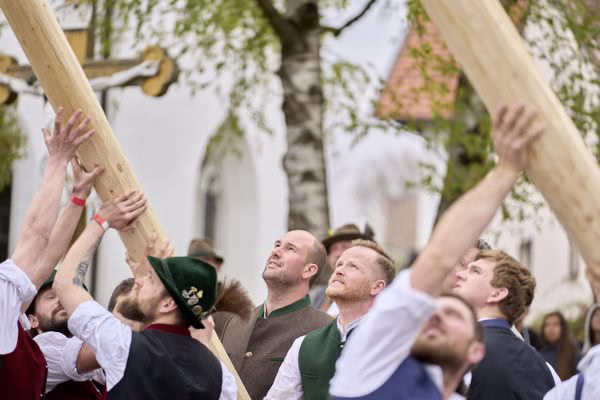 Preview campos_viola_gug_200-200