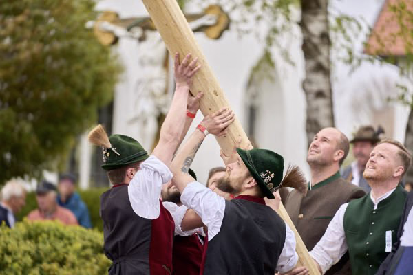 Preview campos_viola_gug_201-201