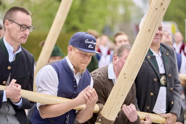 Preview campos_viola_gug_204-204