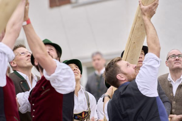 Preview campos_viola_gug_206-206