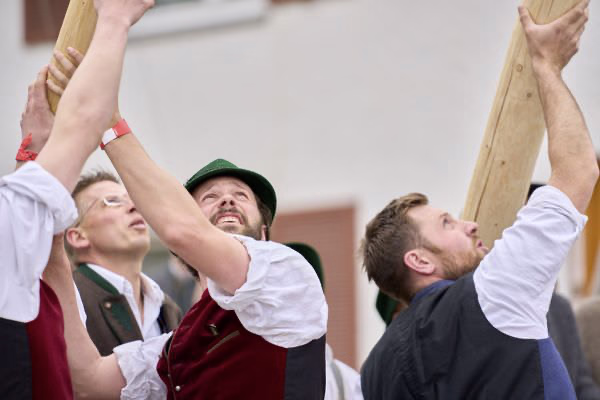 Preview campos_viola_gug_207-207