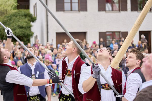 Preview campos_viola_gug_208-208