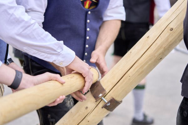 Preview campos_viola_gug_209-209