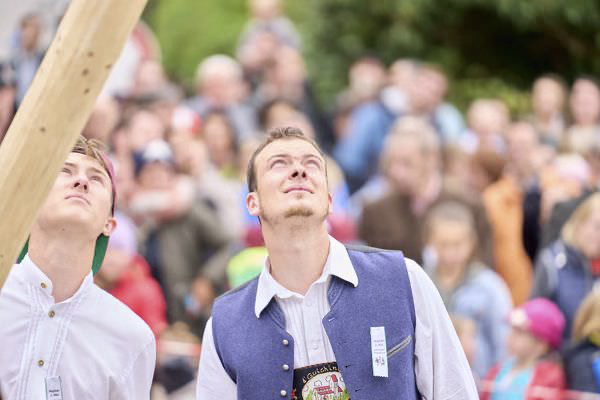 Preview campos_viola_gug_210-210