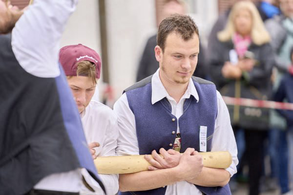 Preview campos_viola_gug_211-211