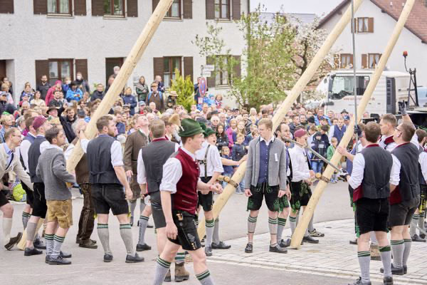 Preview campos_viola_gug_213-213