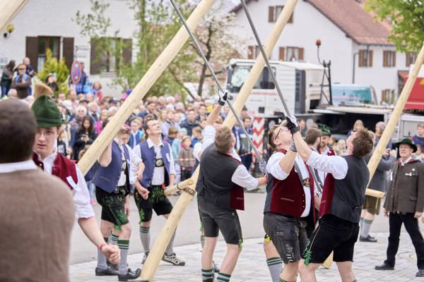 Preview campos_viola_gug_217-217