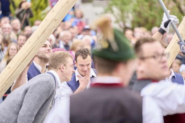 Preview campos_viola_gug_220-220