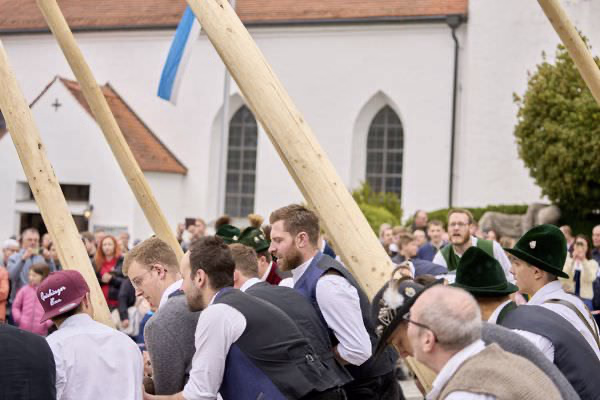 Preview campos_viola_gug_224-224