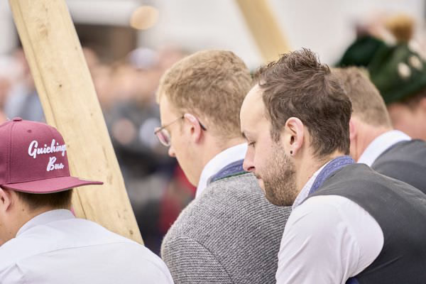 Preview campos_viola_gug_226-226