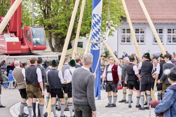 Preview campos_viola_gug_229-229