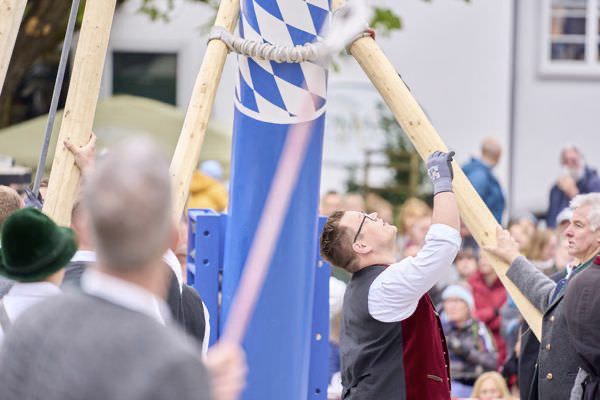 Preview campos_viola_gug_230-230