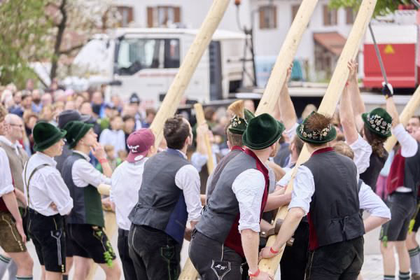 Preview campos_viola_gug_231-231