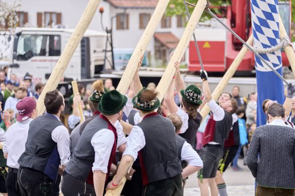 Preview campos_viola_gug_232-232