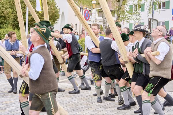 Preview campos_viola_gug_236-236