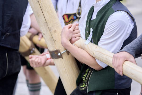 Preview campos_viola_gug_240-240