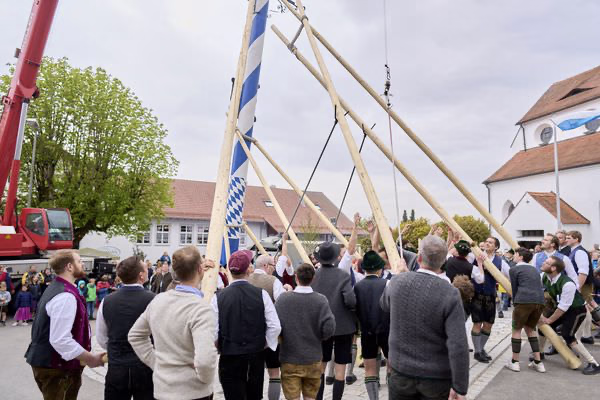 Preview campos_viola_gug_246-246