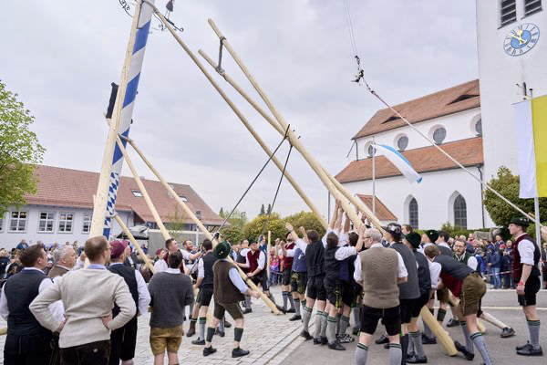 Preview campos_viola_gug_247-247