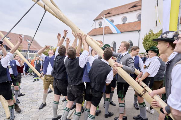 Preview campos_viola_gug_248-248