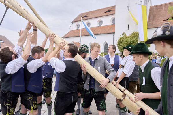 Preview campos_viola_gug_249-249