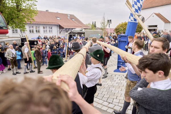 Preview campos_viola_gug_252-252