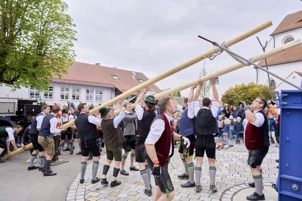 Preview campos_viola_gug_253-253