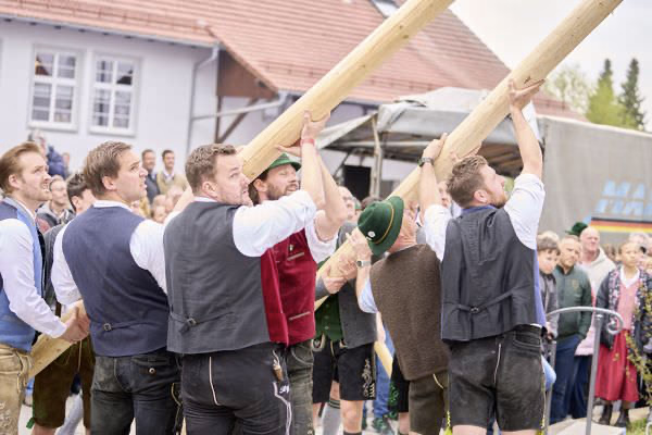 Preview campos_viola_gug_254-254