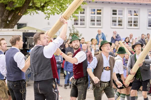 Preview campos_viola_gug_258-258