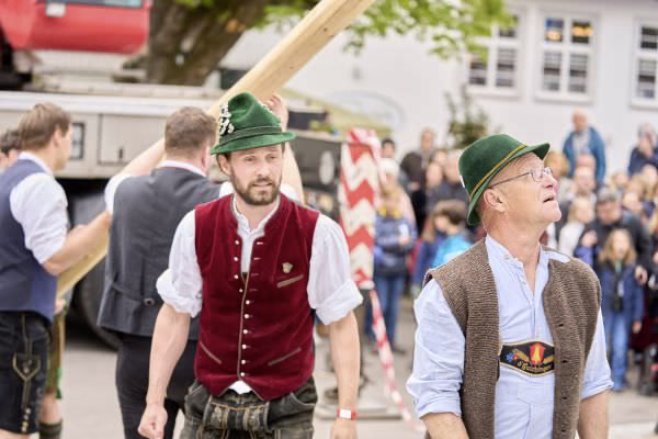 Preview campos_viola_gug_259-259