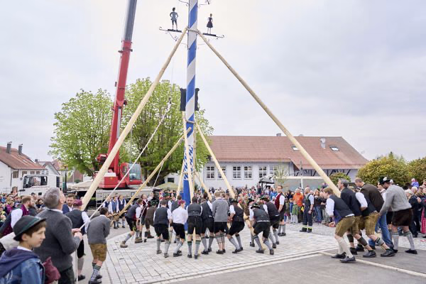 Preview campos_viola_gug_261-261