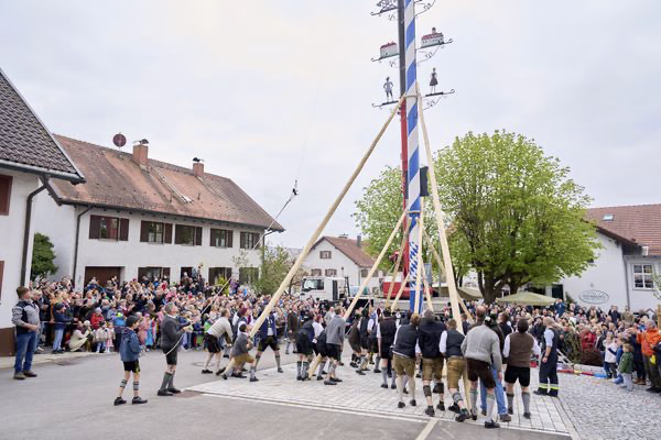 Preview campos_viola_gug_263-263