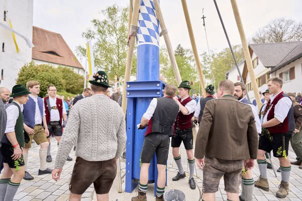 Preview campos_viola_gug_283-283