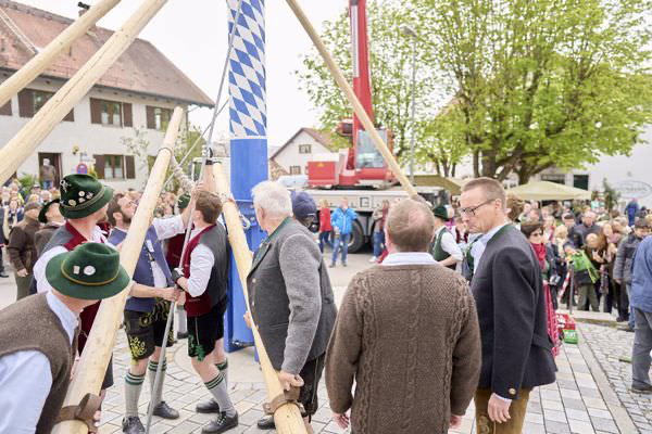 Preview campos_viola_gug_284-284