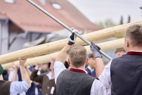 Preview campos_viola_gug_290-290