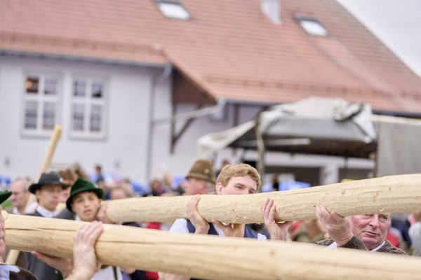 Preview campos_viola_gug_291-291