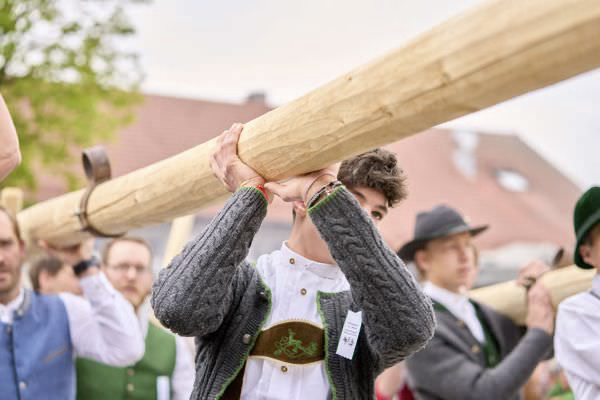 Preview campos_viola_gug_293-293