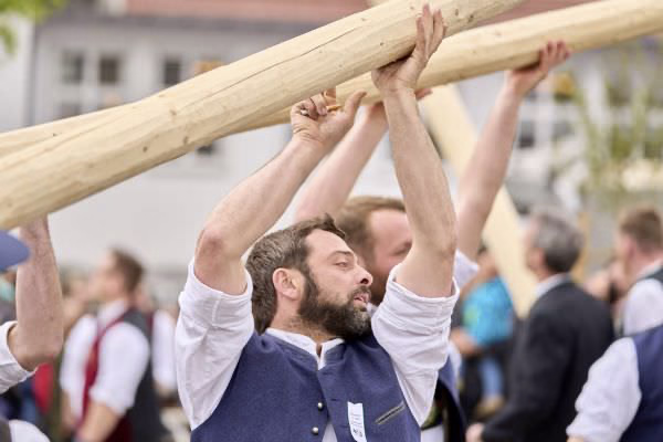 Preview campos_viola_gug_297-297