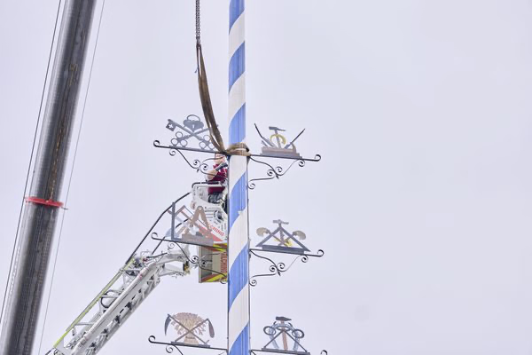 Preview campos_viola_gug_322-322