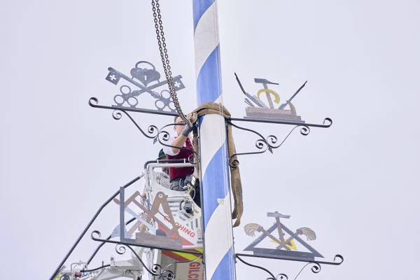 Preview campos_viola_gug_323-323