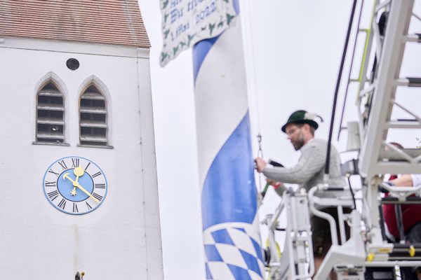 Preview campos_viola_gug_329-329