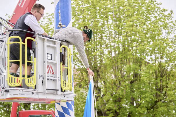 Preview campos_viola_gug_336-336