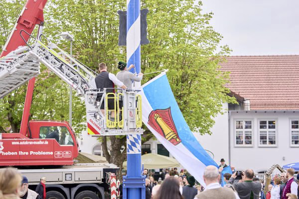 Preview campos_viola_gug_337-337