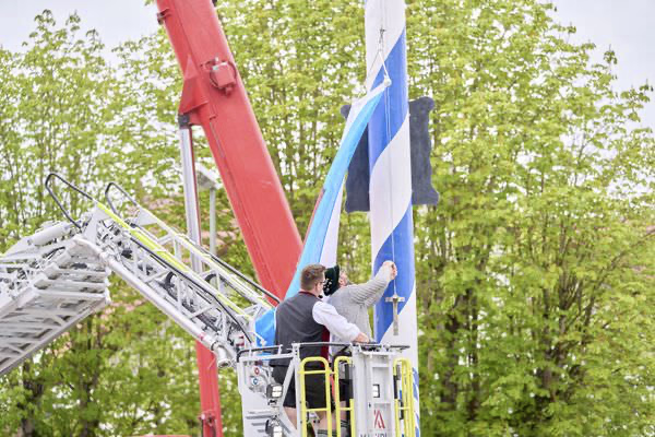 Preview campos_viola_gug_340-340