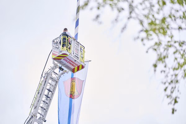 Preview campos_viola_gug_341-341