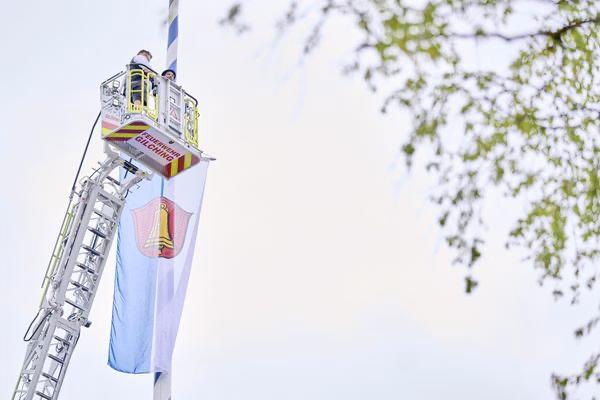 Preview campos_viola_gug_342-342