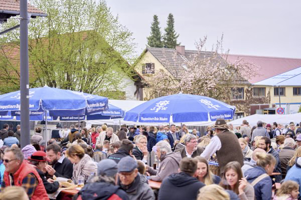 Preview campos_viola_gug_346-346